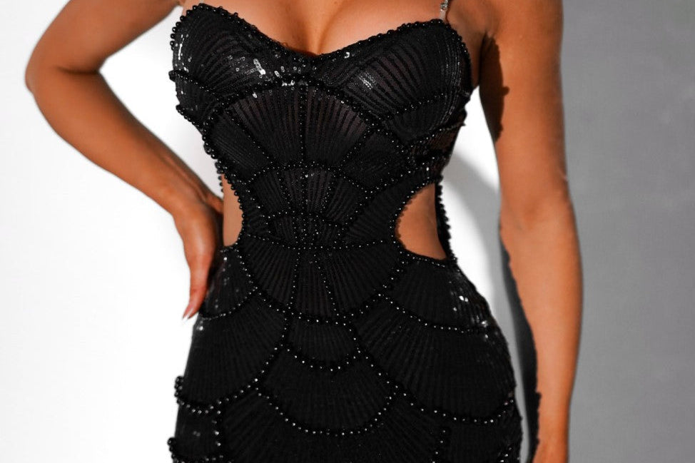 Halvina | Embroidered Cutout Dress